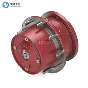 REGGIANA RIDUTTORI驱动器RRTD1000DB/23.72 RF