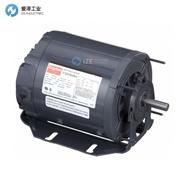 DAYTON电机6XH63BA