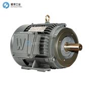 WORLDWIDE ELECTRIC电机PEWWE20-18-256TC
