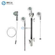 ABB变送器MT5000S6LWAC2VP12W10S6H0M7AY0P4YY