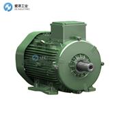 TEE电机Q3HFC100L4D-40H