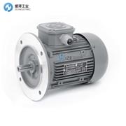 TEE电机Q2EFA71M4B40 H