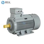 AC-MOTOREN电机FCM 225 S 4/PHE