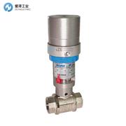 VALVAUT球阀Z300301