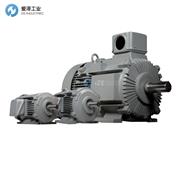 HITACHI电机TFO-LKK-7.5KW-4P-200V