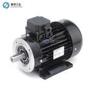 NICOLINI电机RN132LC4