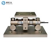 PT称重？镻T9000TWA-30KLB