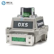 TOPWORX阀门控制器DXS-L41GNEB