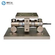 PT称重？镻T9000TWA-20KLB