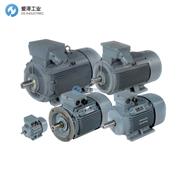 DUTCHI电机DM1 315 Lx 4