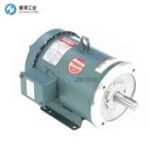 LEESON电机C182T17FK14 E 131504.00