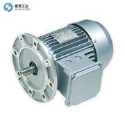 BER-MAR电机S.632-4-B5