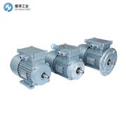 BER-MAR电机AF.71.S4.5000