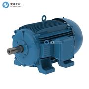 WEG电机W20-200L-04