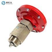 FW MURPHY油位开关DVU2120