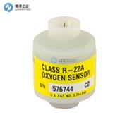 TELEDYNE氧传感器R-22A