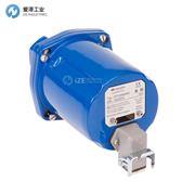 BFI火焰检测器CFC2000IR2L