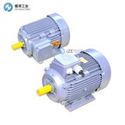 BEHNCKE电机Q3HFC100L2D40