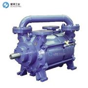 GIEFFE泵CDS-8-900/GX