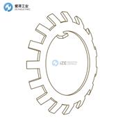 WHITTET HIGGINS锁紧垫圈W-22