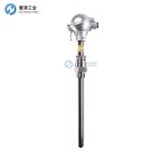 GUENTHER热电偶10-99100008-2500