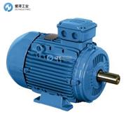 WEG电机W21 IE3 9.2KW 4P 132M/L