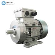 BER-MAR电机MS802-4-B14