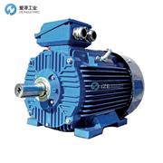 CANTONI电机3SIEL90L2