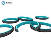 TRELLEBORG格莱圈RDD300700-T46N