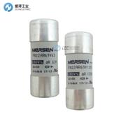 MERSEN熔断器FR22AR69V100T