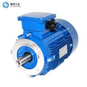 JS-TECHNIK电机SEV-MX3-132S-4 ?3X26131113A0