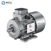 MOTOVARIO电机TH71C4 0,55 230/400-50 B14 IE