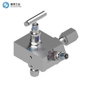 SABRE阀组MX26-2-NT-611-6HT-FA