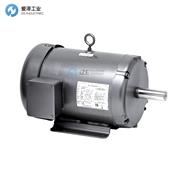 BALDOR电机M1C225M-4B3D