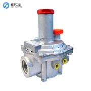 PIETRO FIORENTINI燃气调压阀30165