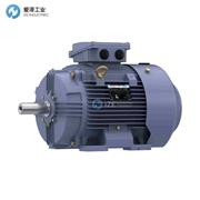 MARATHON电机TCA0112AE211GAA009