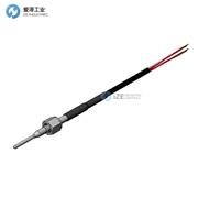 PENTRONIC热电偶5810184-001