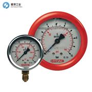 HYDAC耐震压力表HM100-10-B-M20x1.5-FF HM100 M2