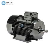 LAFERT电机AMPE132MZA2