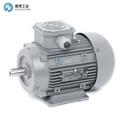 BEHNCKE电机Q2EFA71M4B40PTCH