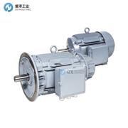 BEN电机KDF200Lc-2/TF/PT/FU/NS/FB/SF/IE3(KL