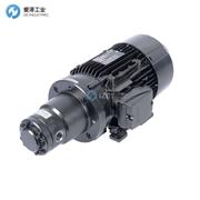 SKF泵头143-011-131