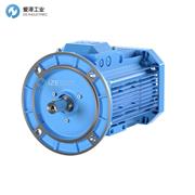 ABB电机M3AA160MLA2 3GAA161410-HDG