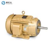 BALDOR电机10G863Y652G1