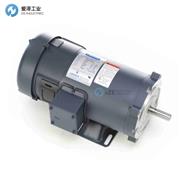 LEESON电机C4D17VK4D 108229.00