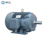 WORLDWIDE ELECTRIC电机WWE75-18-365T