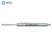 ASRAYMOND弹簧MSBD-076-0262