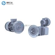 WINKELMANN电机GNRFZE132/3