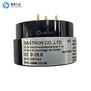 GASTRON探头GSCC-O2-25
