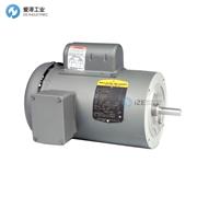 BALDOR电机VL3509-50